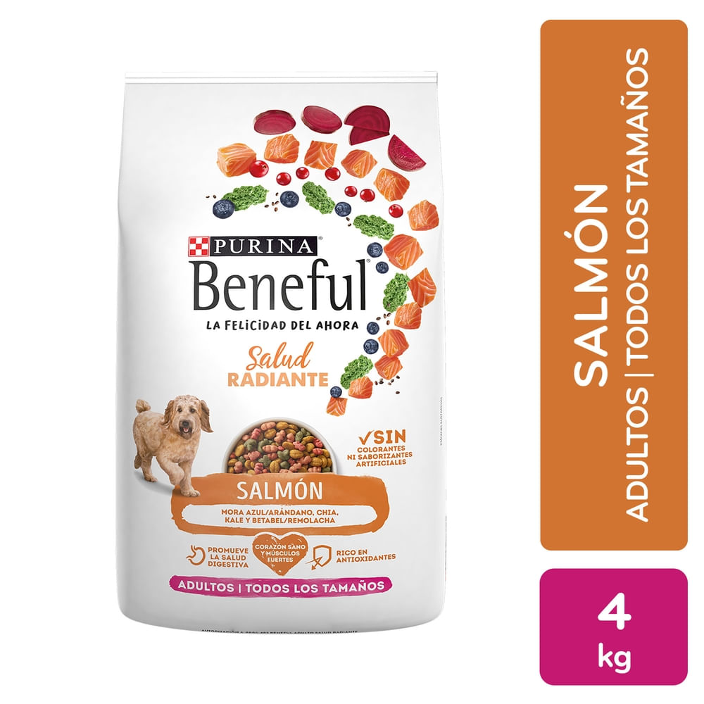 Alimento seco Purina Beneful para perro adulto sabor salmón -4 kg